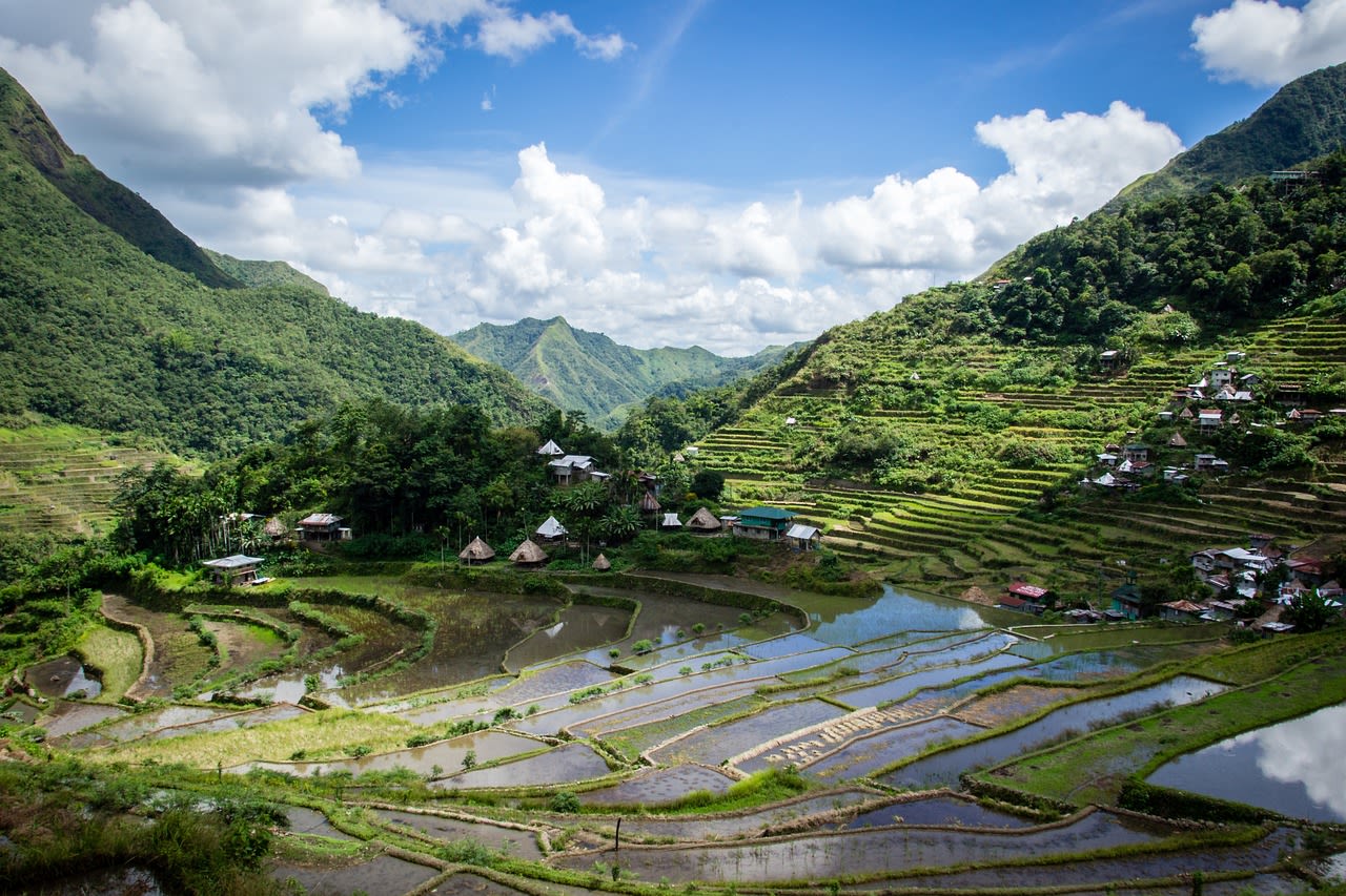 A tropical rainforest in Asia, which has been partly cleared to create rice paddies.