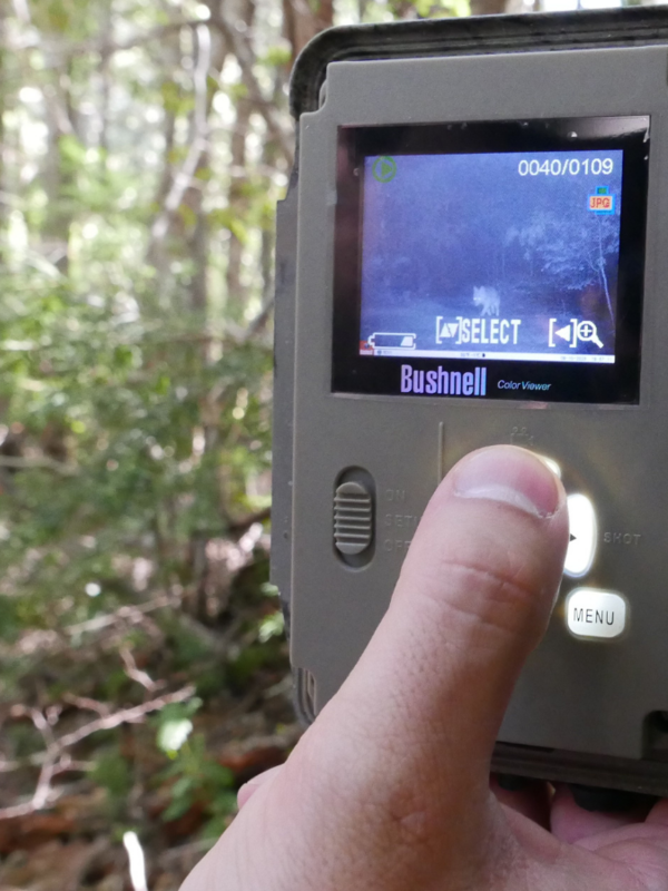 Close-up of a camera trap display screen.