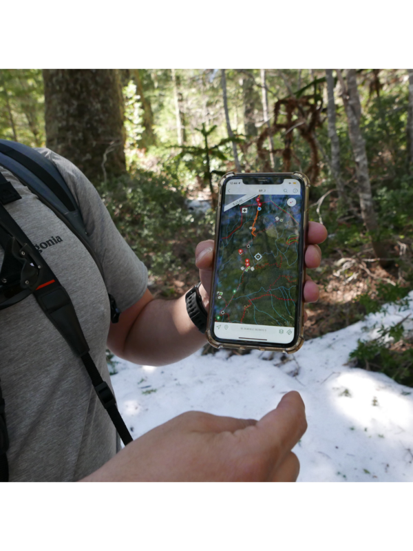 A conservationist presenting the SMART conservation app on their mobile phone.